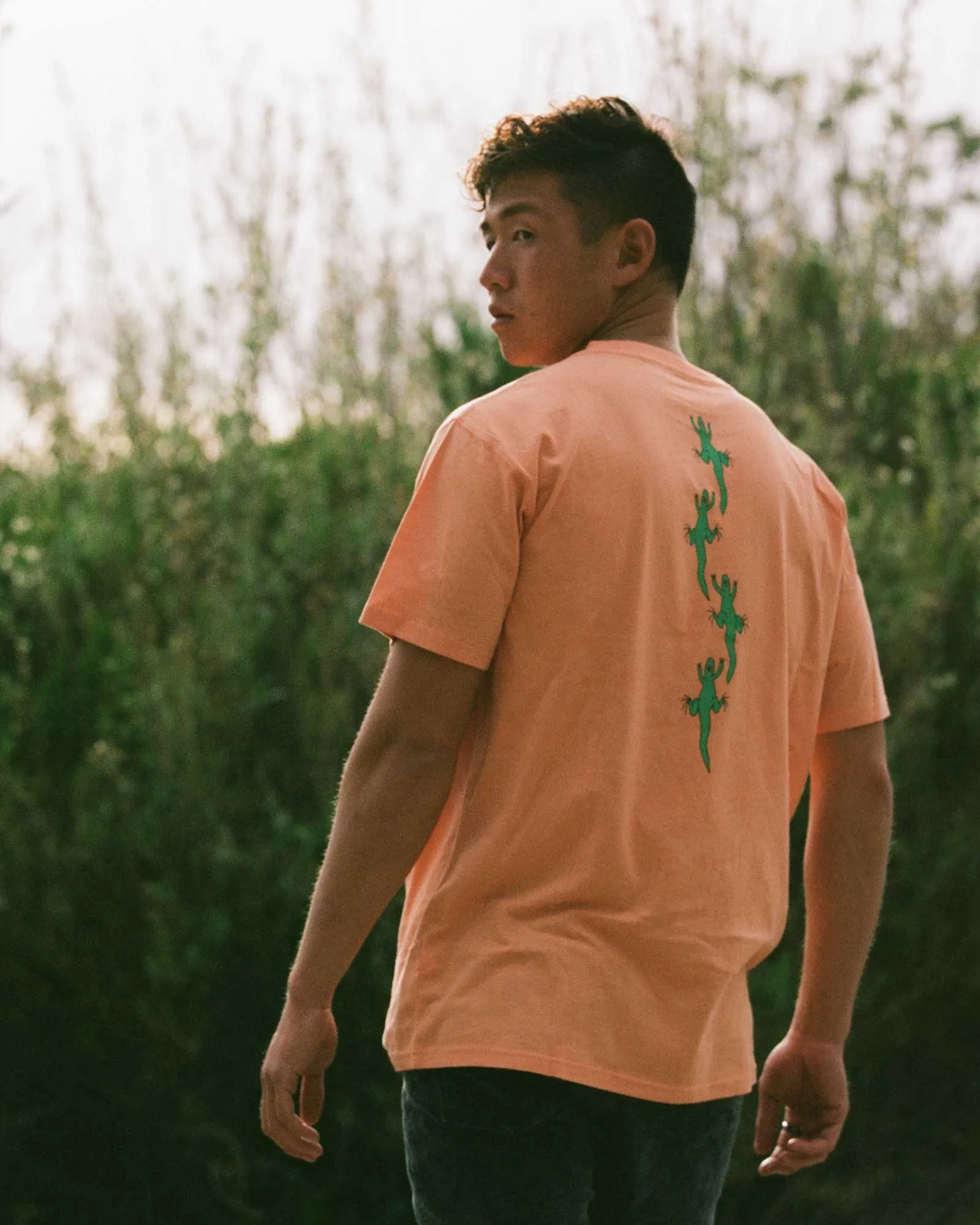 Zion Ecosystem Organic Tee - Terracotta